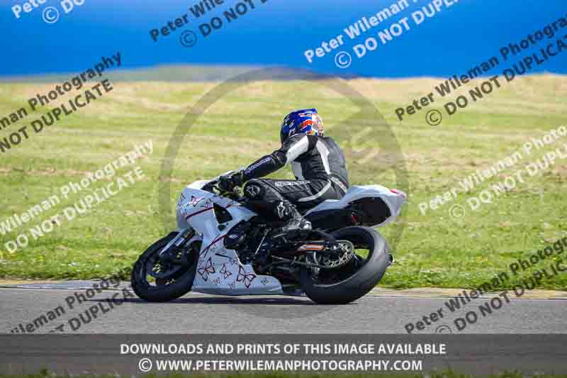anglesey no limits trackday;anglesey photographs;anglesey trackday photographs;enduro digital images;event digital images;eventdigitalimages;no limits trackdays;peter wileman photography;racing digital images;trac mon;trackday digital images;trackday photos;ty croes